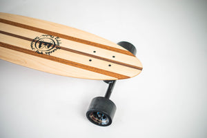 TRAVELER 29-P